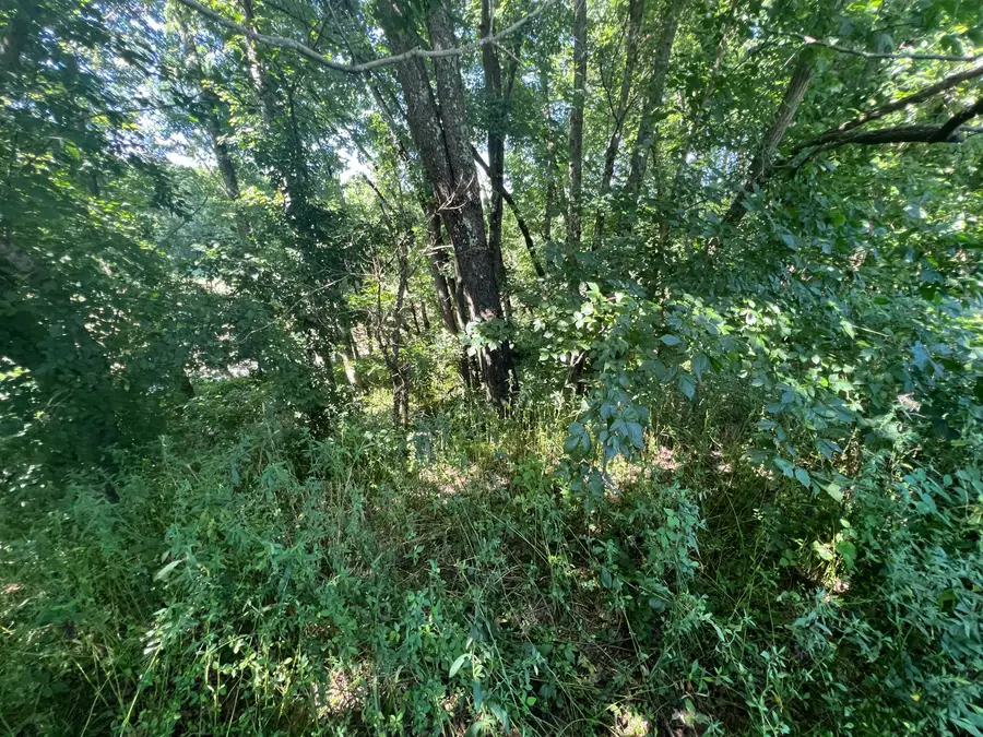 0 Stevens Road, Flemingsburg, KY 41041 - #3