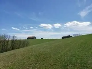 317 Cane Run Road, Carlisle, KY 40311 - #1