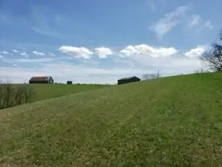 317 Cane Run Road, Carlisle, KY 40311 - #3
