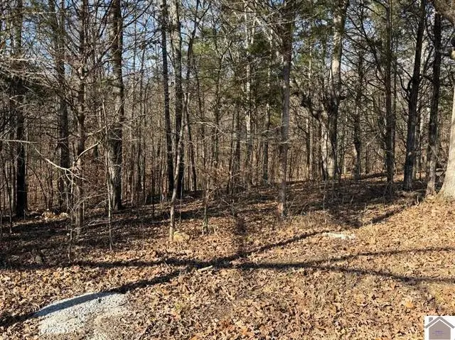 Lot 46 Bayridge Road, New Concord, KY 42076 - #2