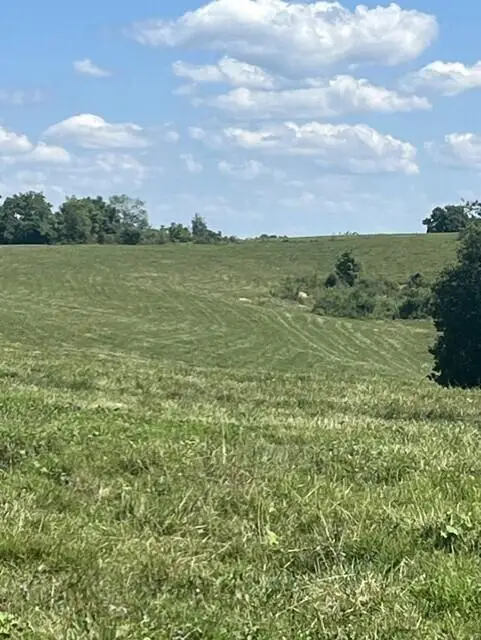 1699 Gillispie Road, Paris, KY 40361 - #1
