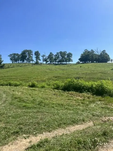 1699 Gillispie Road, Paris, KY 40361 - #2