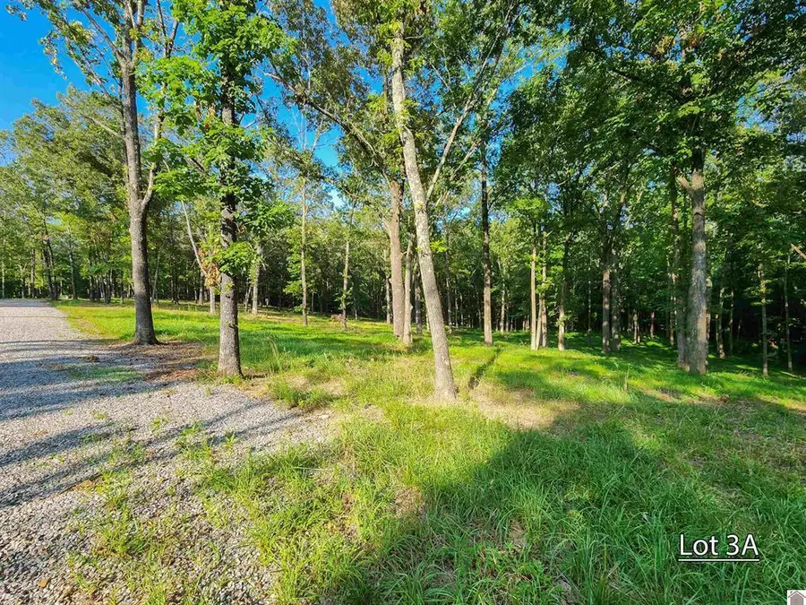 Lot 3a Serenity Village Drive, Benton, KY 42025 - #3