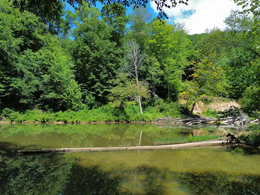 139 Kilbreth Lane, Garrison, KY 41141 - #3