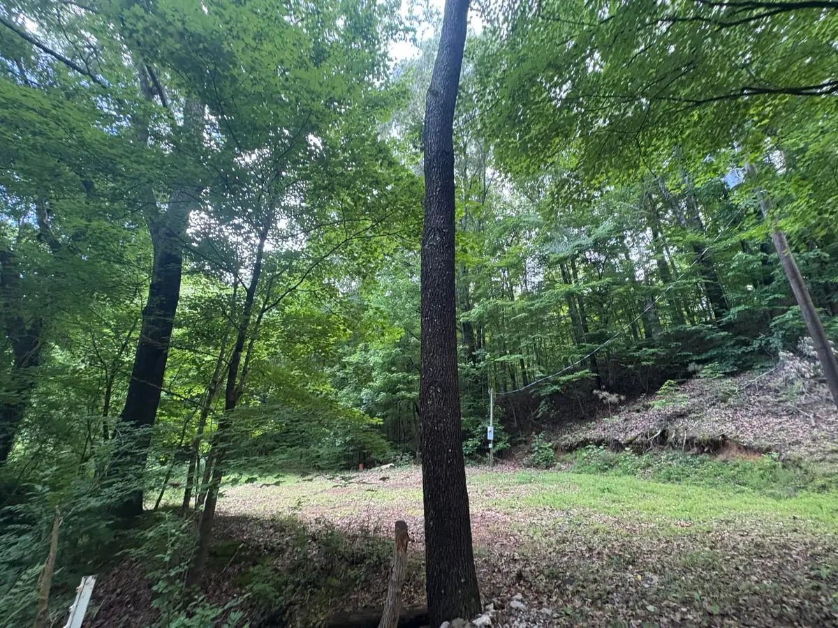 7113 Linton Road, Cadiz, KY 42211 - #1