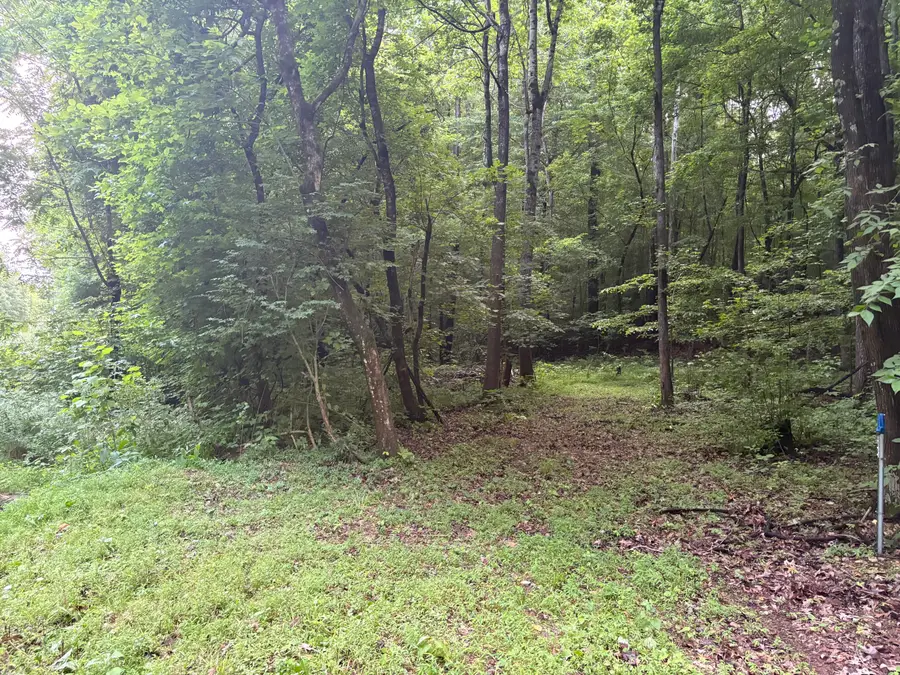 7113 Linton Road, Cadiz, KY 42211 - #3