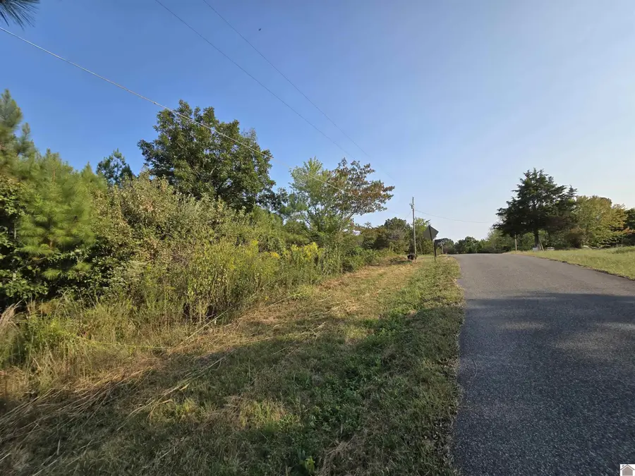 709 Hawkeye Road #338-340, 347-349, Gilbertsville, KY 42044 - #2