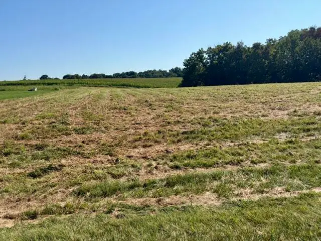Lot 24 C & Lot 24D Emerald Lane, Campbellsville, KY 42718 - #1