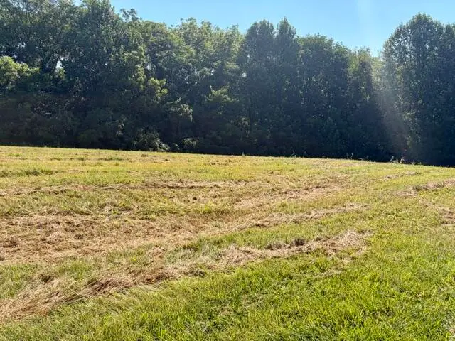 Lot 24 C & Lot 24D Emerald Lane, Campbellsville, KY 42718 - #3