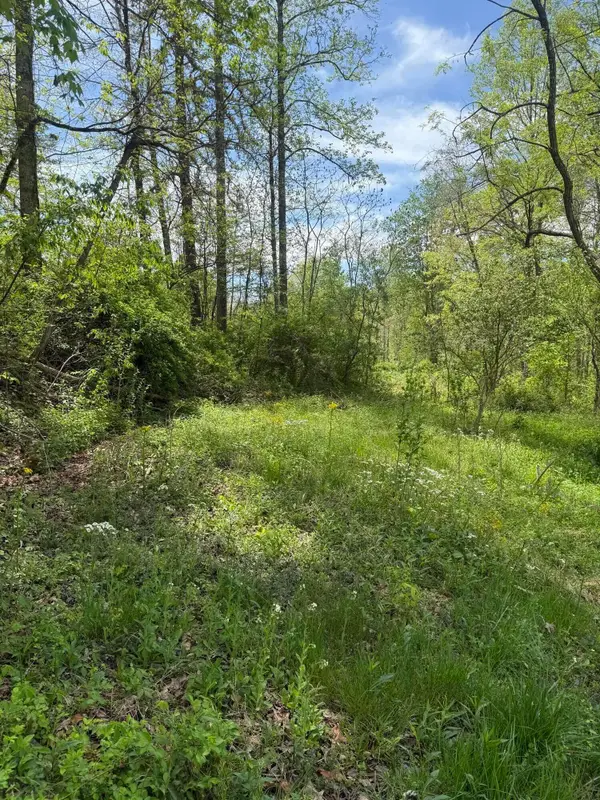 1325 State Highway 1036, Zoe, KY 41397