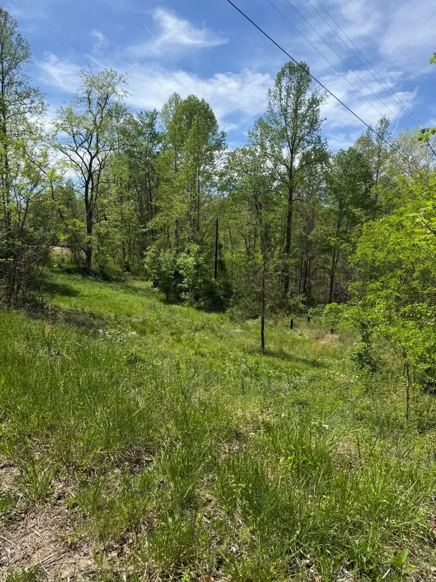 1325 State Highway 1036, Zoe, KY 41397 - #2