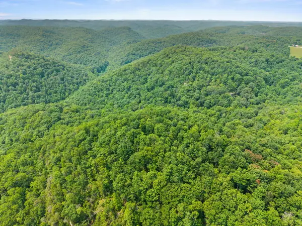 Lot 81, 314 Oak Hill Drive, Frenchburg, KY 40322