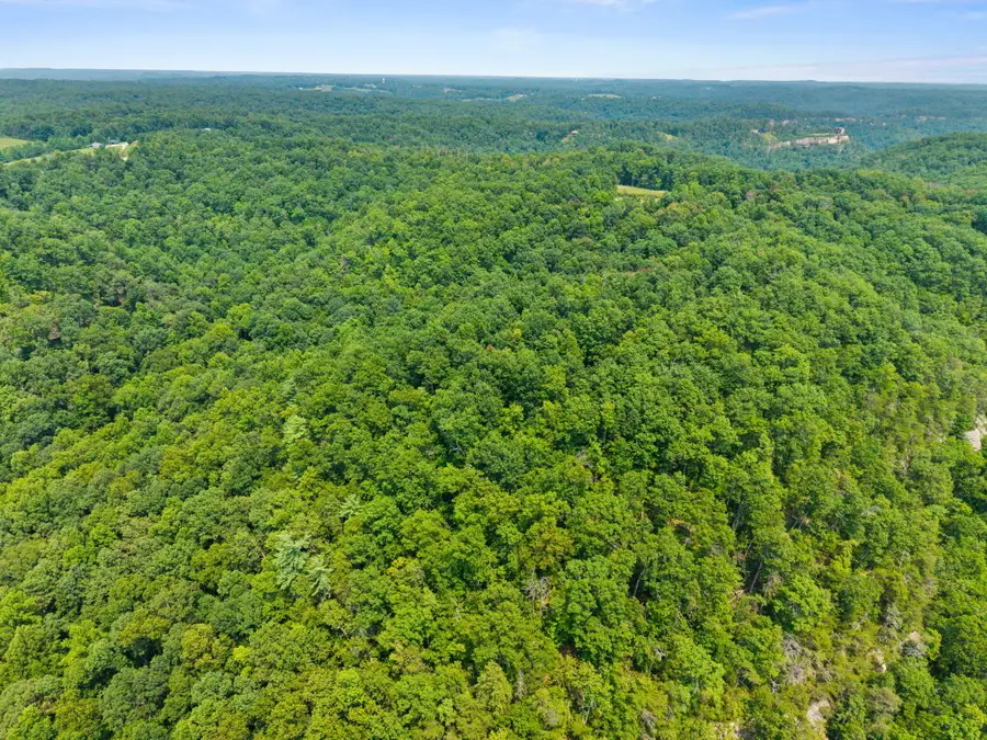 Lot 81, 314 Oak Hill Drive, Frenchburg, KY 40322 - #2