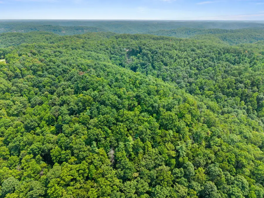 Lot 81, 314 Oak Hill Drive, Frenchburg, KY 40322 - #3