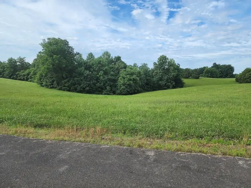 Lots 18 & 19 Acadia Drive, Russell Springs, KY 42642 - #2