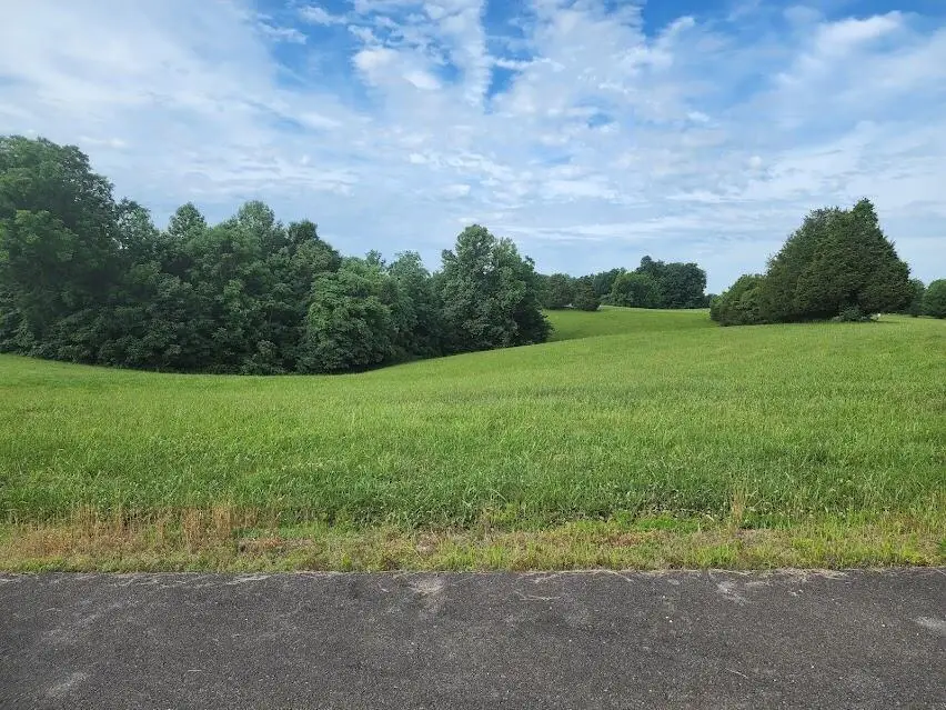 Lots 18 & 19 Acadia Drive, Russell Springs, KY 42642 - #3