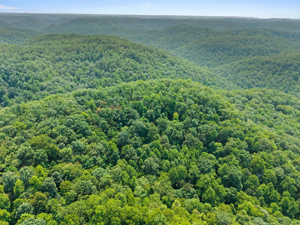 Lot 82, 300 Oak Hill Drive, Frenchburg, KY 40322 - #1