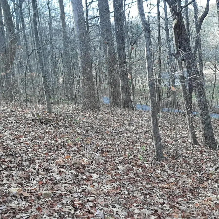 Lot 8 Harbor Drive #Lot 8, Eddyville, KY 42038 - #2