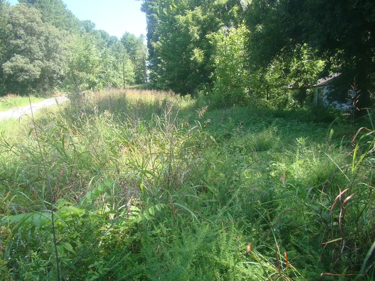 3994 4000 Old Dover Rd Road, Cadiz, KY 42211 - #1