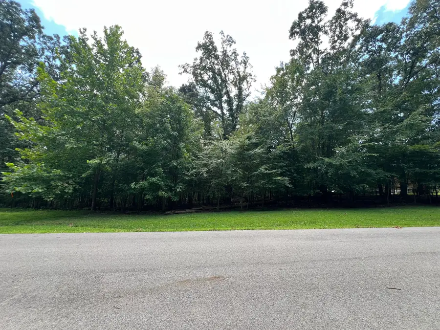Lot 80 Cliffwood Lane, Murray, KY 42071 - #2