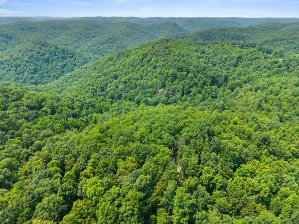 Lot 86, 65 Pinecrest Drive, Frenchburg, KY 40322