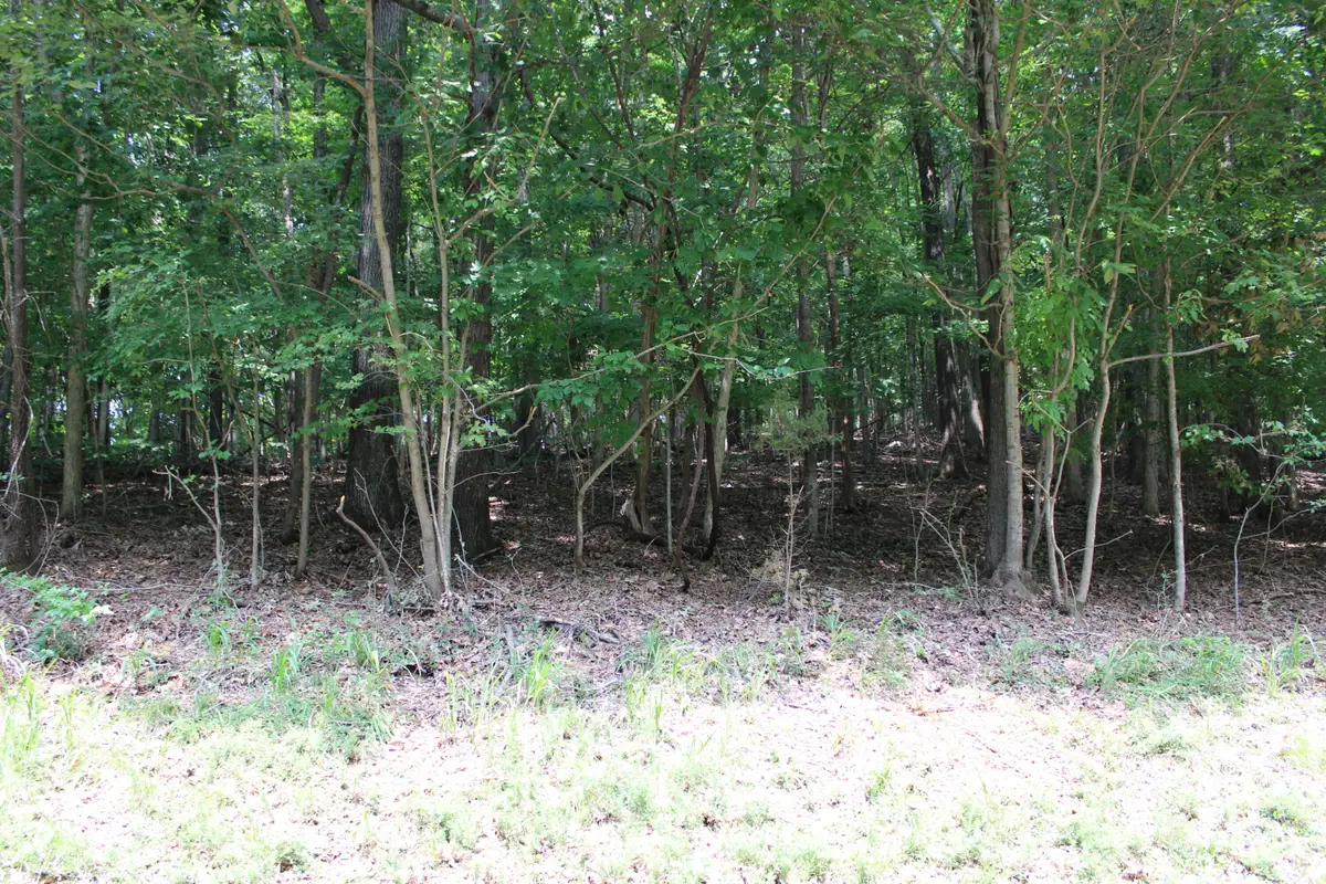 Lot 122 Palisades Drive #53F-122, Eddyville, KY 42038 - #1