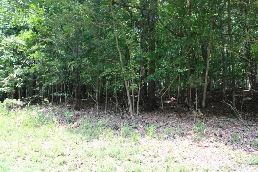 Lot 122 Palisades Drive #53F-122, Eddyville, KY 42038 - #3