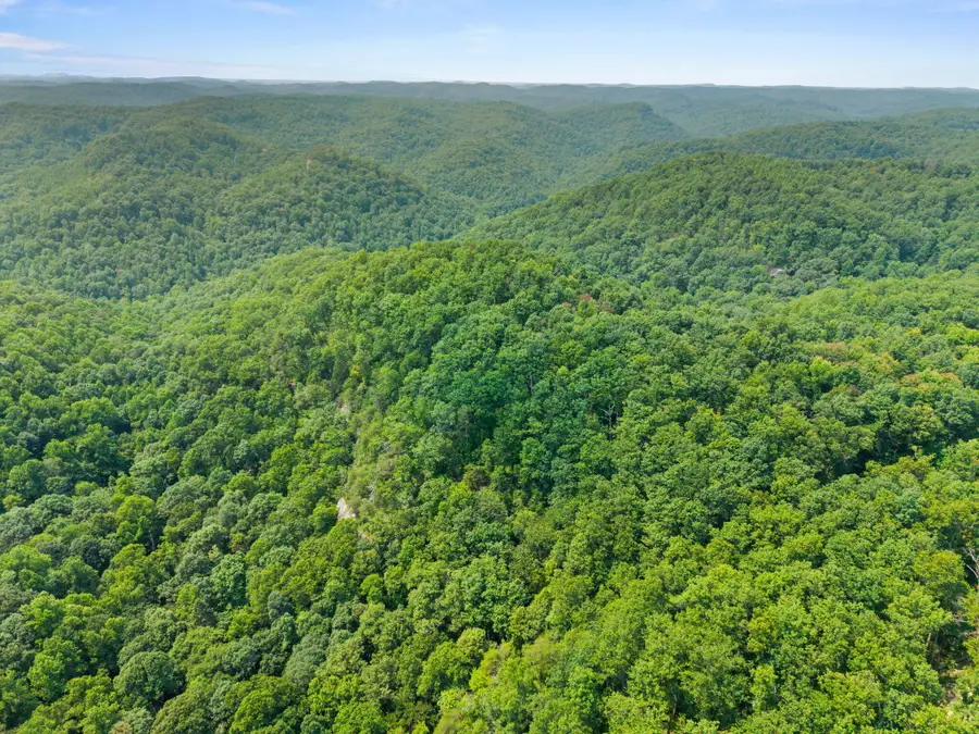 Lot 79, 301 Oak Hill Drive, Frenchburg, KY 40322 - #3