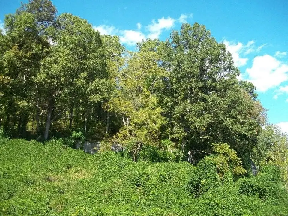 8888 Hales Fork Road, Dewitt, KY 40930 - #1