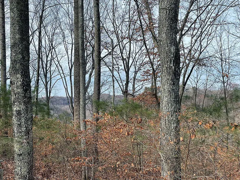 Lot 84 Stillwater, Russell Springs, KY 42642 - #1