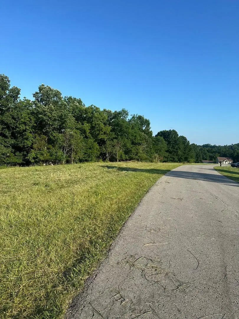 30  Landings Court, Willisburg, KY 40078 - #2