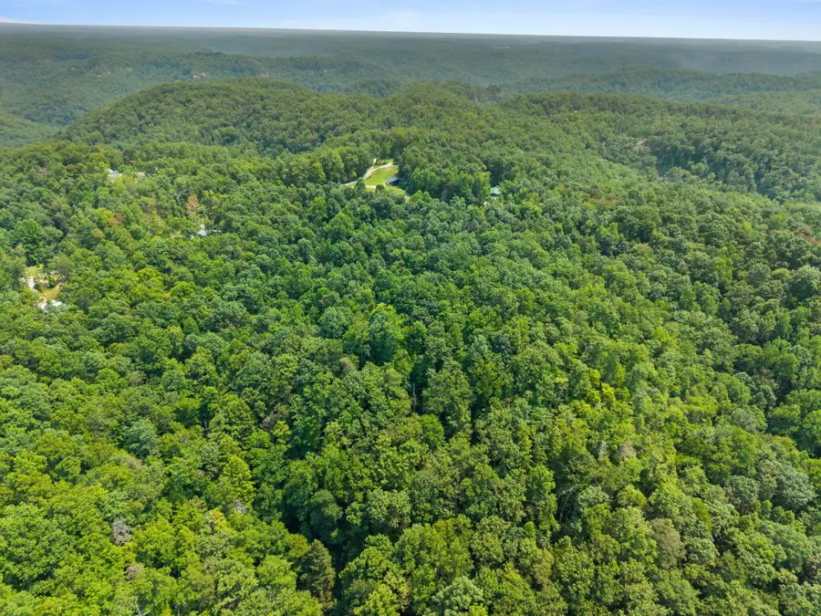 Lot 87, 64 Pinecrest Drive, Frenchburg, KY 40322 - #2