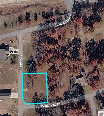 Lot 2 Comanche Drive, Cadiz, KY 42211