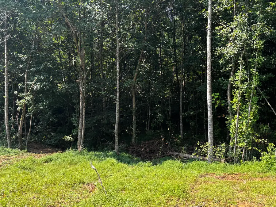 0 Speck Road, Albany, KY 42602 - #2