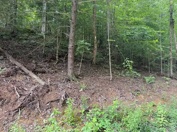 35 Low Ridge Road, Campton, KY 41301
