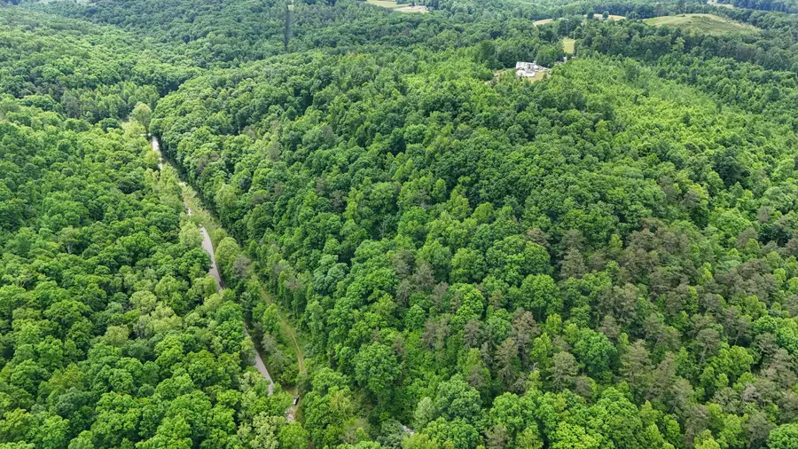 8295 State Hwy 1003, Somerset, KY 42501 - #3
