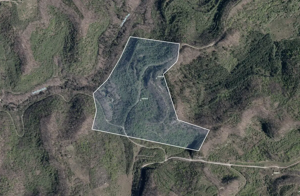 0 Coldwater Road, Inez, KY 41224 - #1