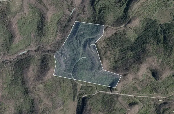 0 Coldwater Road, Inez, KY 41224