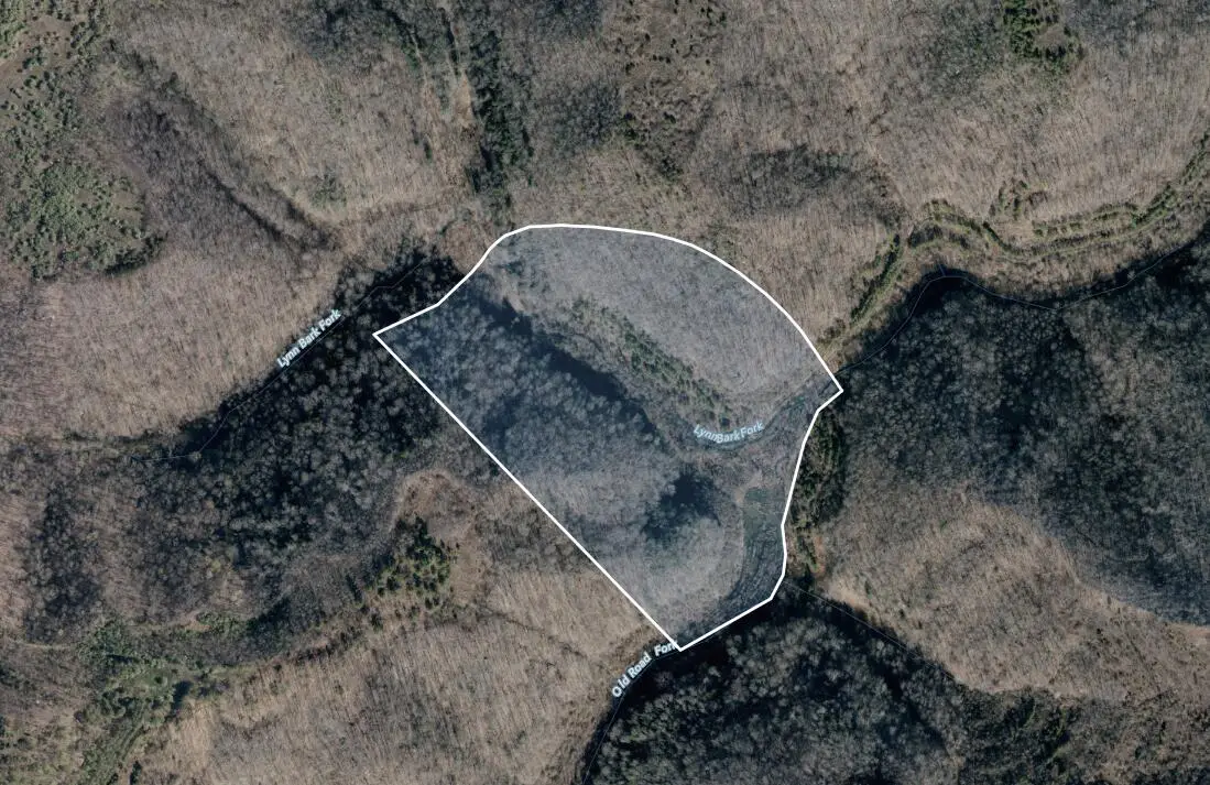 0 Lynn Bark Fork Road, Inez, KY 41224 - #1