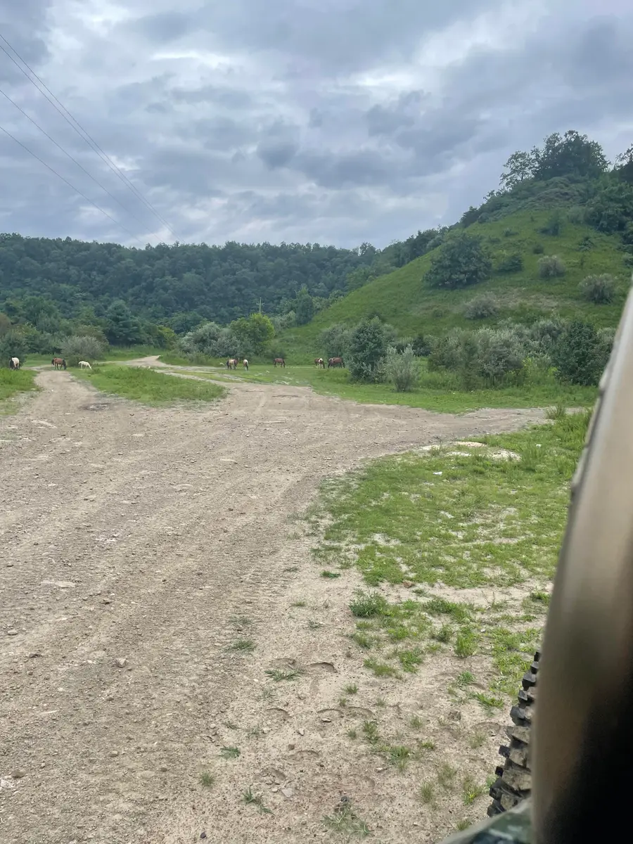 0  Sugar Camp Branch Rd., Robinson Creek, KY 41560 - #3