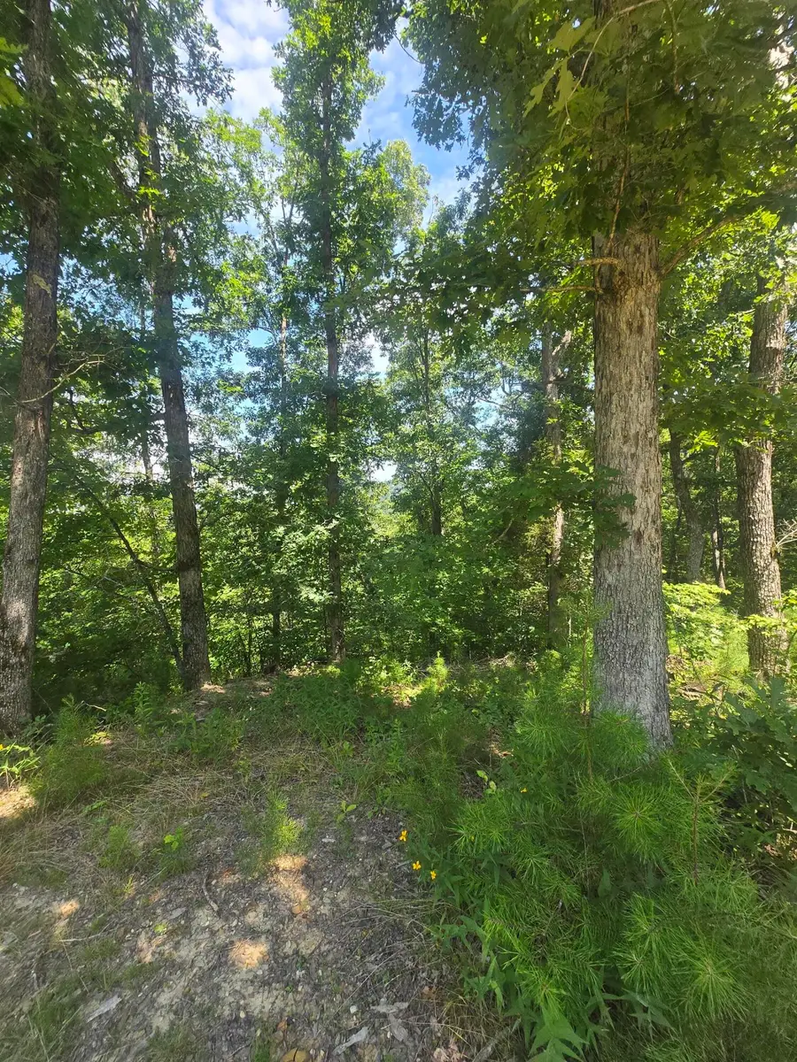 9999 Millstone Road, Clay City, KY 40312 - #2