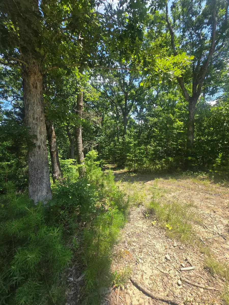 9999 Millstone Road, Clay City, KY 40312 - #3