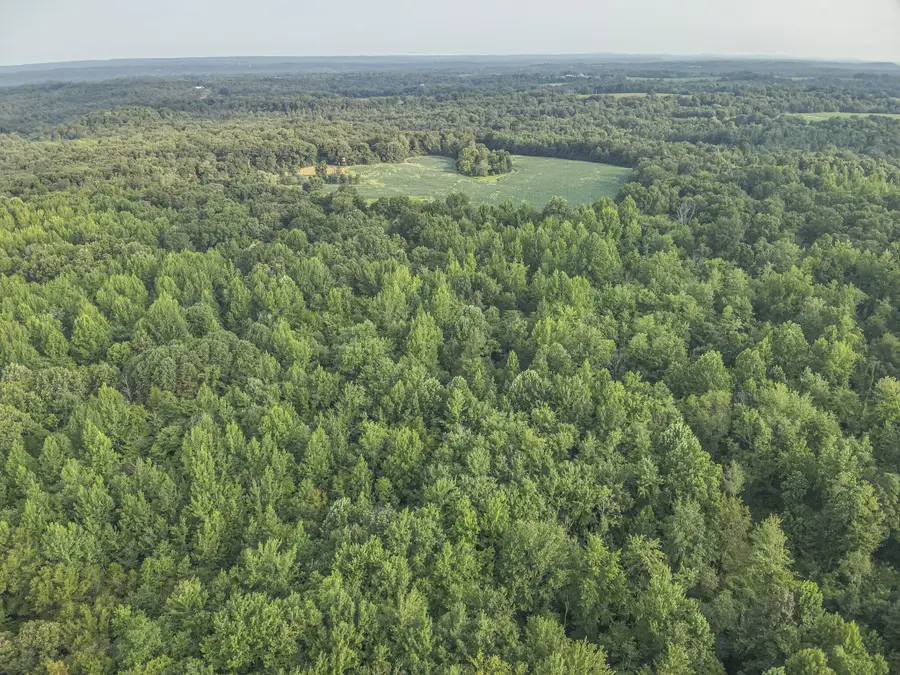 1134 Pisgah Road, Smithland, KY 42081 - #2