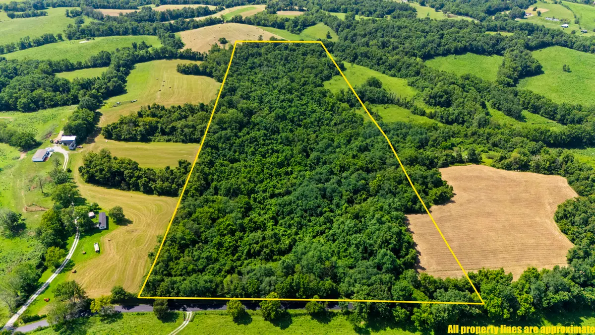223A Plum Lick Road, Paris, KY 40361 - #1