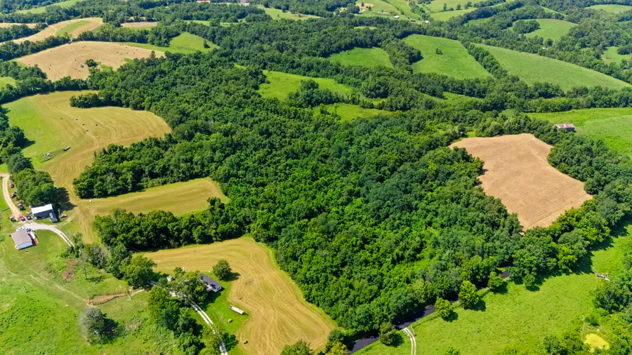 223A Plum Lick Road, Paris, KY 40361 - #3