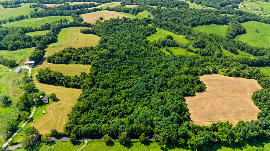 223B Plum Lick Road, Paris, KY 40361 - #2