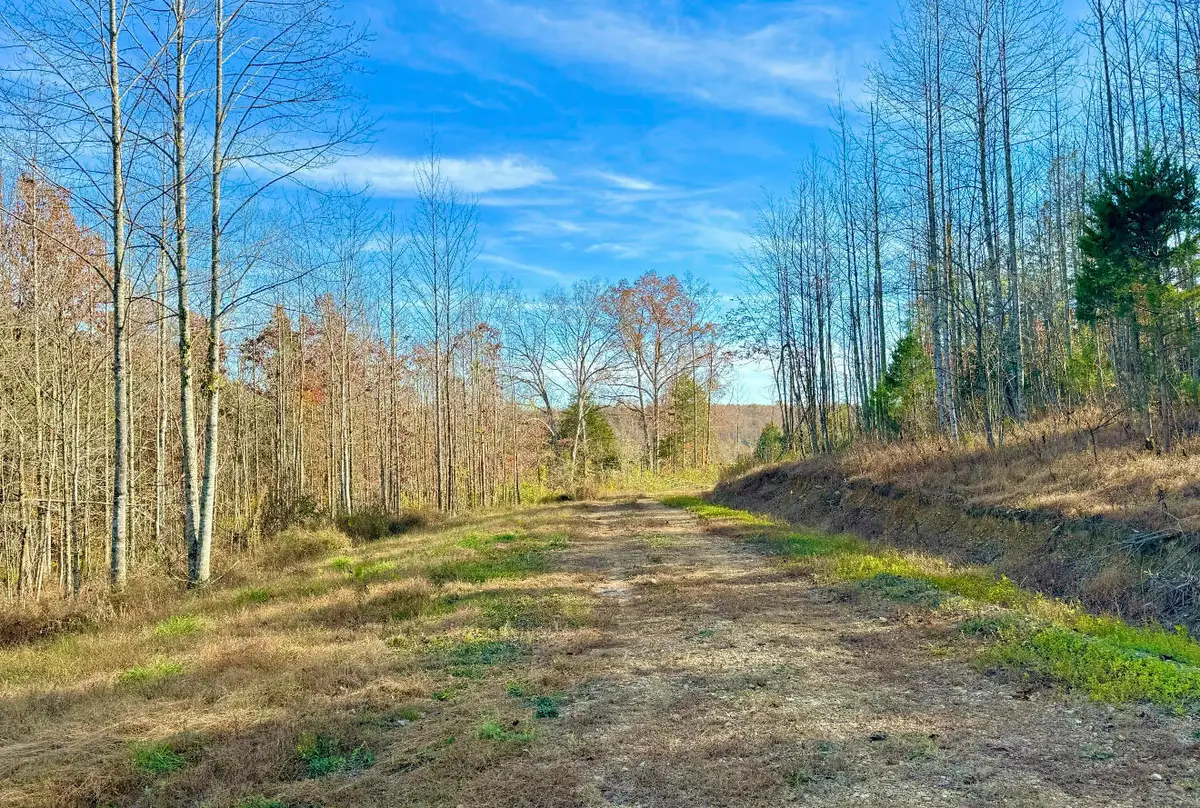9108 Ky-501 #Tract 2-C, Liberty, KY 42539 - #1