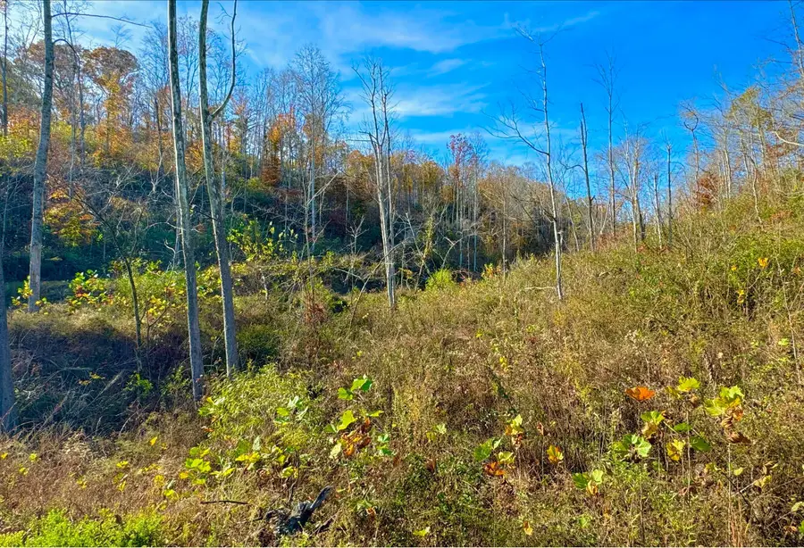9108 Ky-501 #Tract 2-C, Liberty, KY 42539 - #2