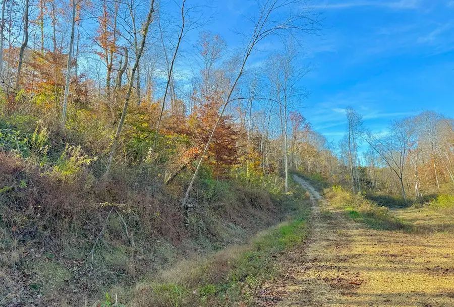 9108 Ky-501 #Tract 2-C, Liberty, KY 42539 - #3