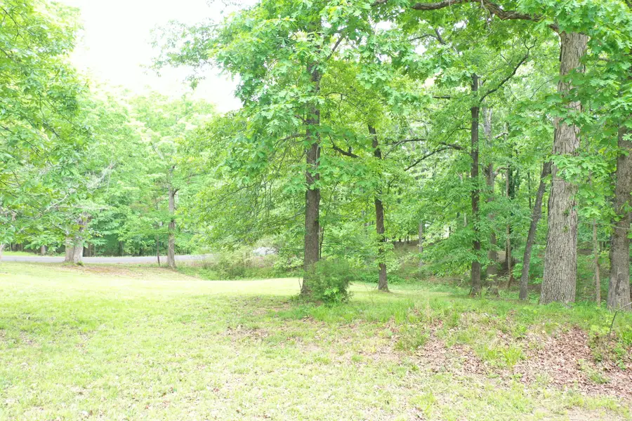 663 Steamboat Road, Gilbertsville, KY 42044 - #2